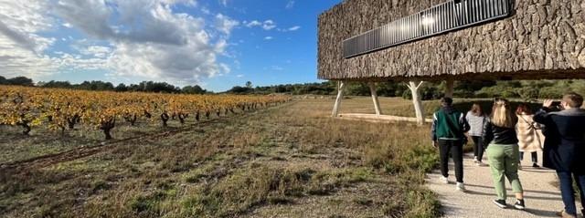 illustration article