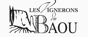 logo société 