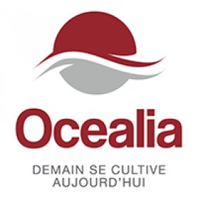 logo societe 