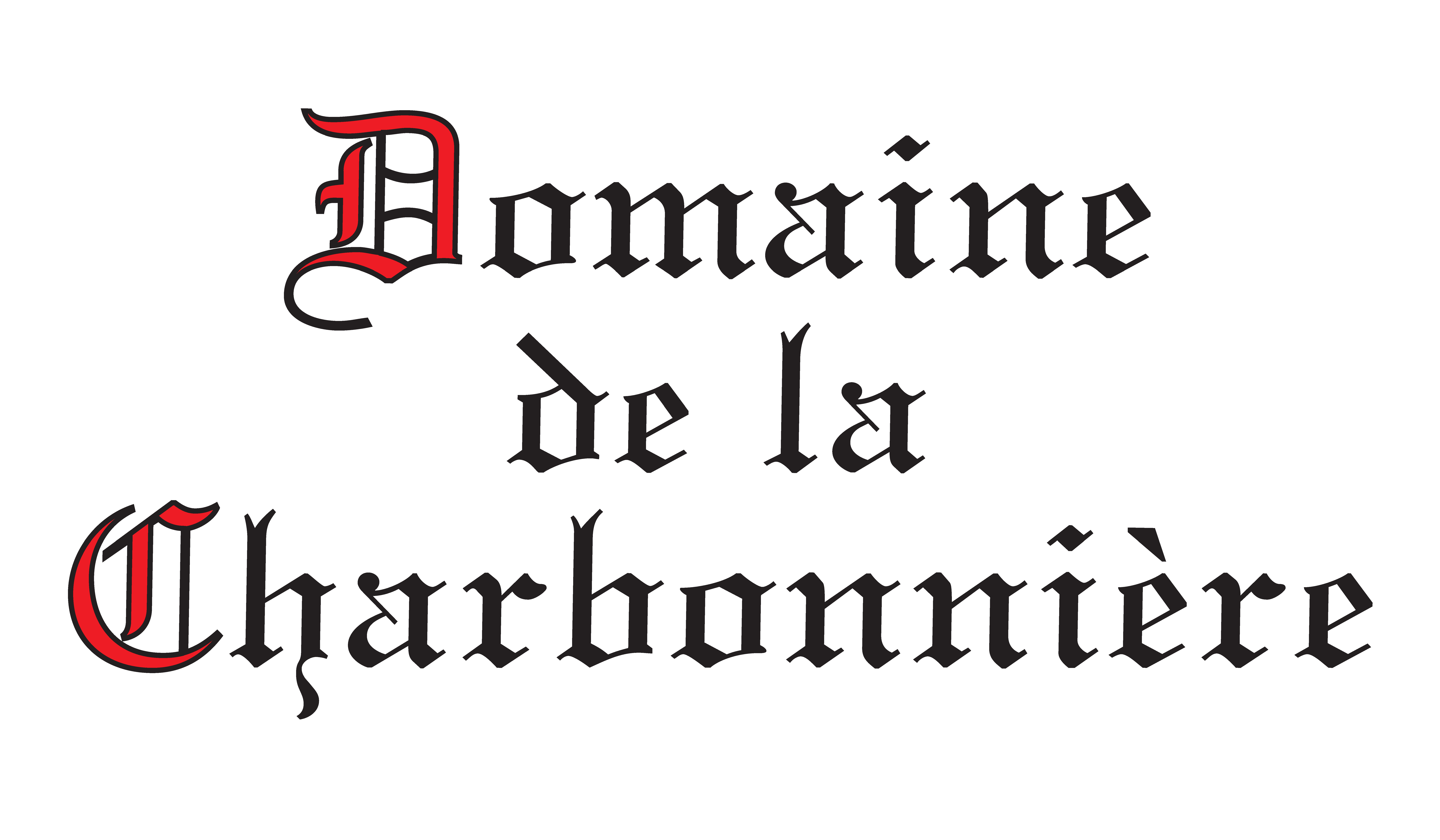 logo societe 