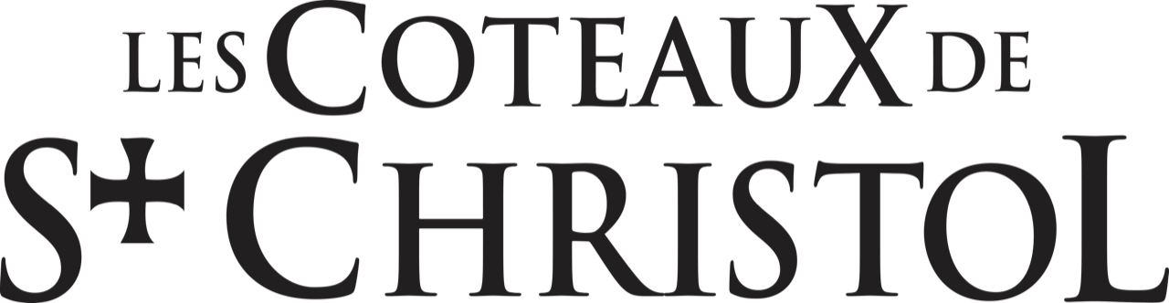logo société 