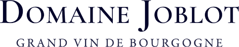 logo societe 