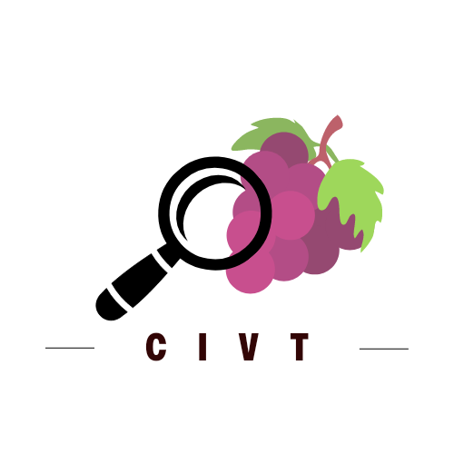 logo societe 