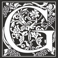 logo societe 