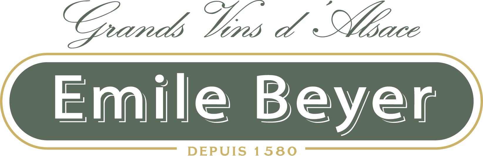 logo societe 