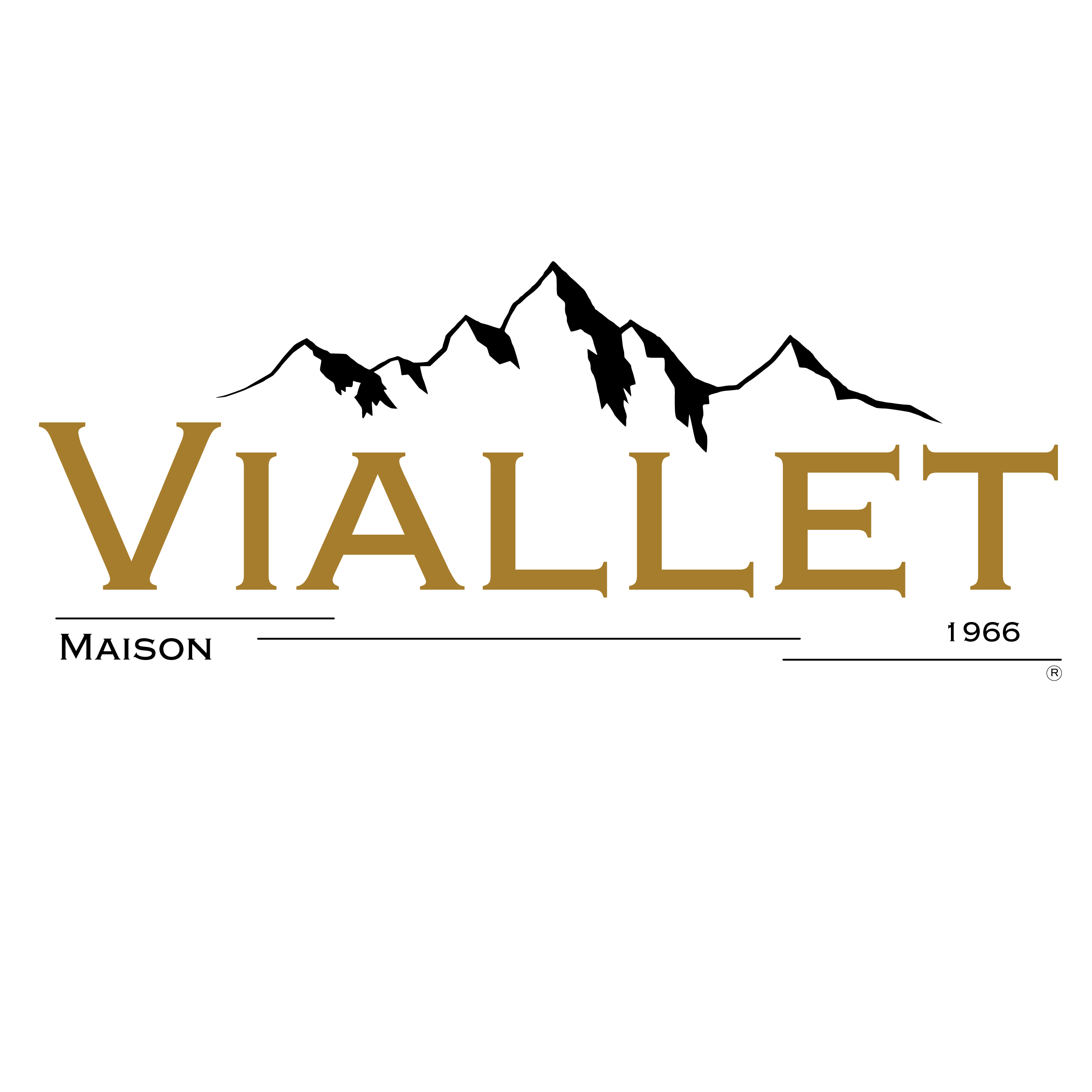 logo societe 