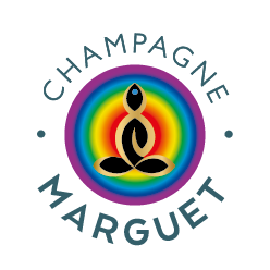 logo societe 