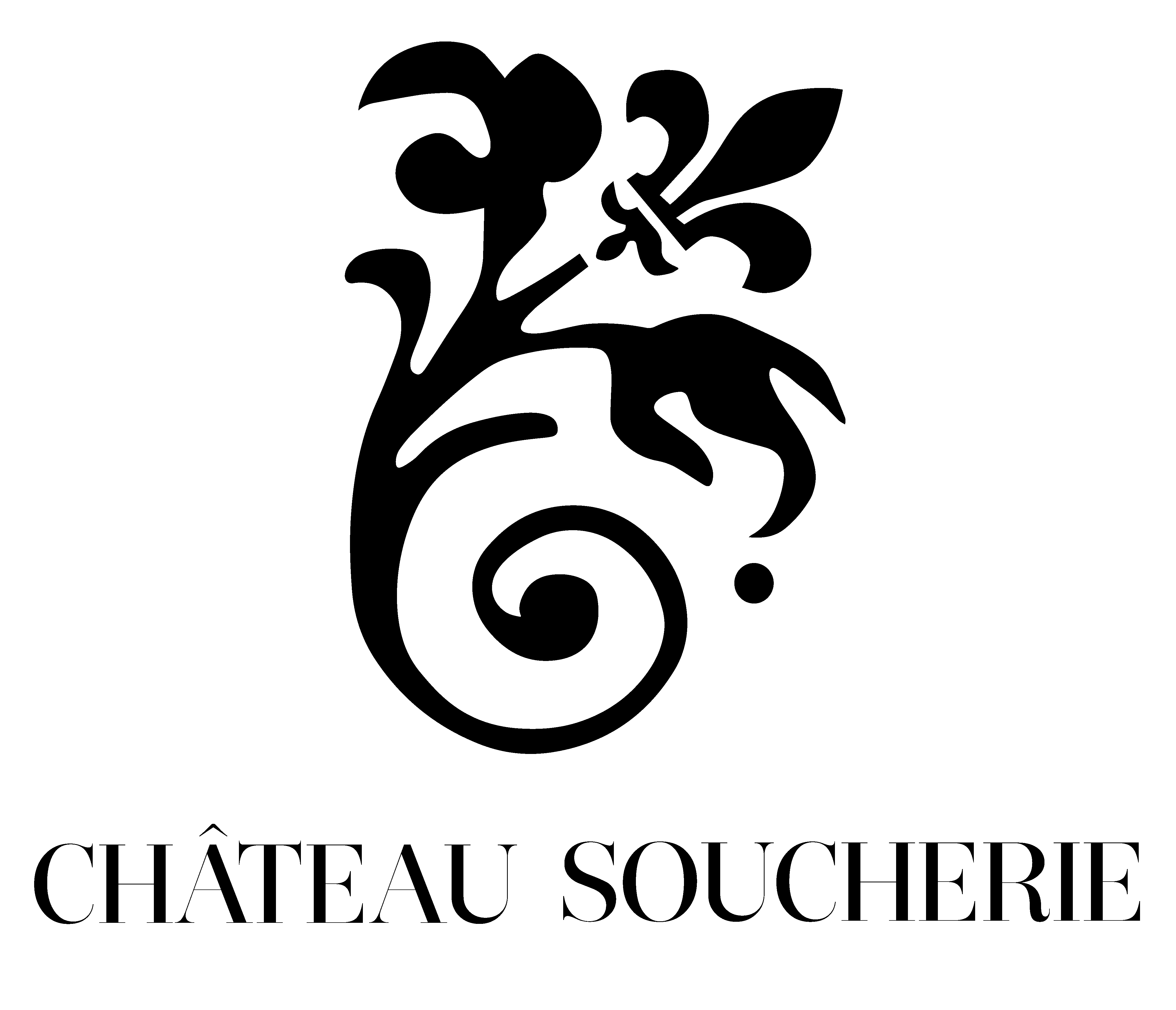 logo société 