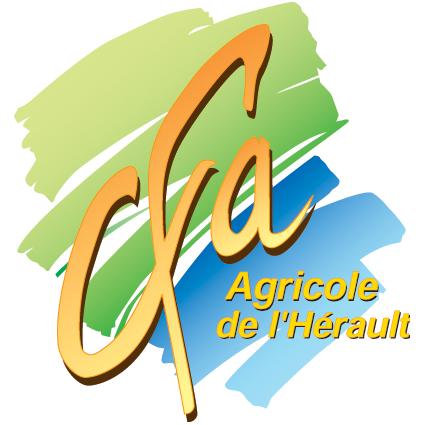 logo societe 