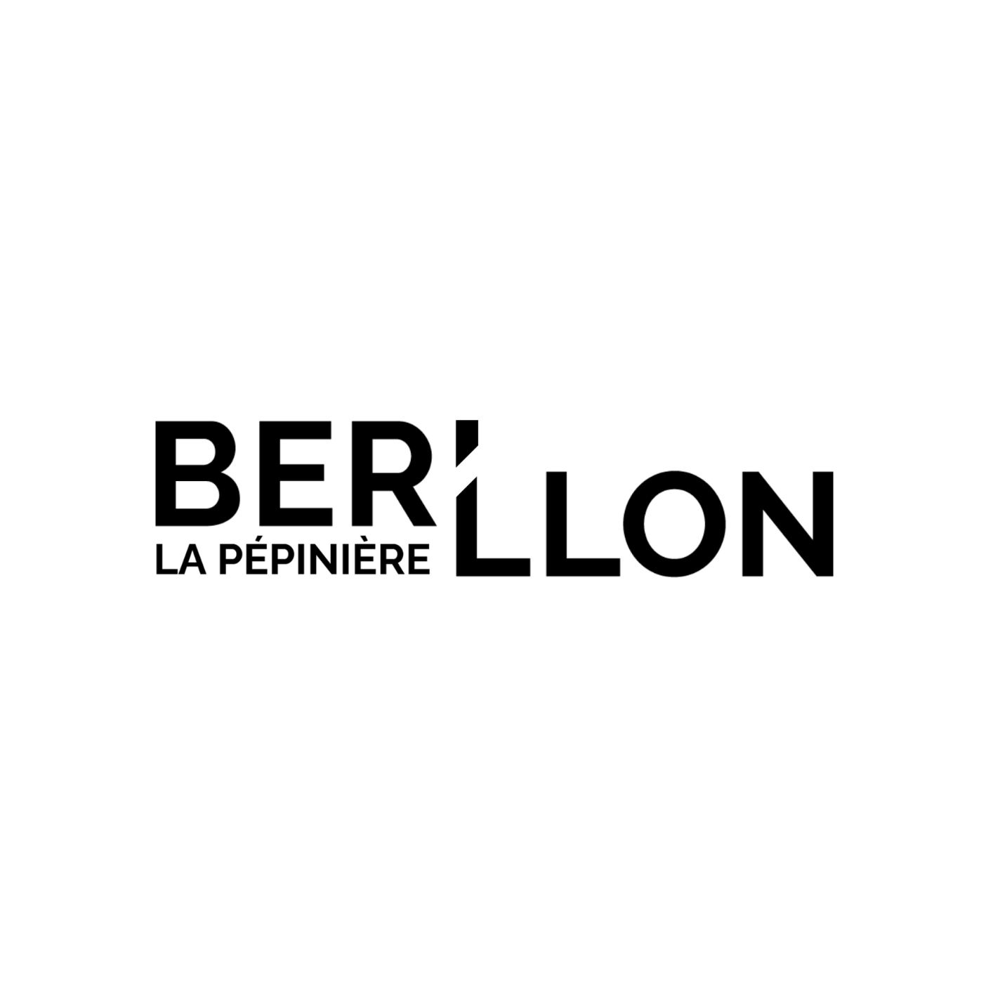 logo societe 
