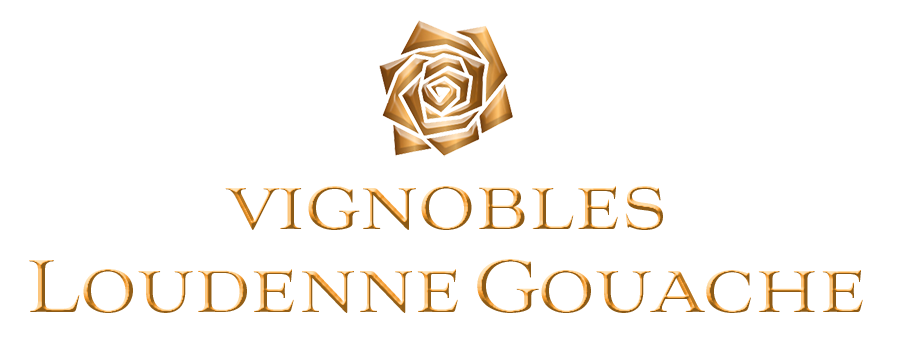 logo société 