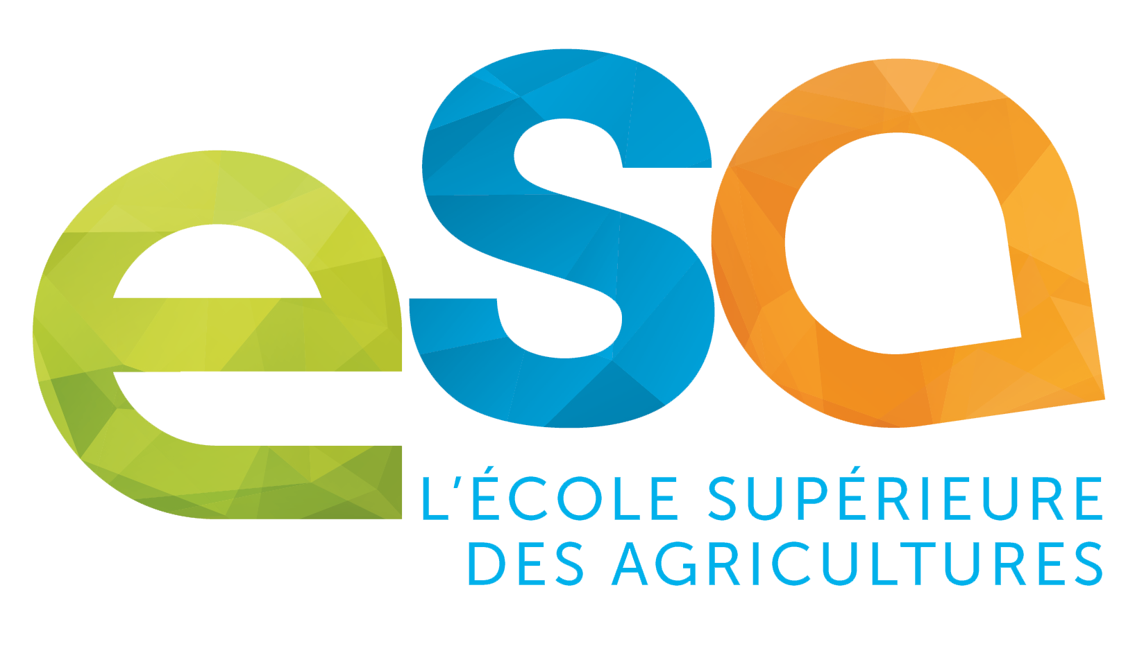 logo societe 