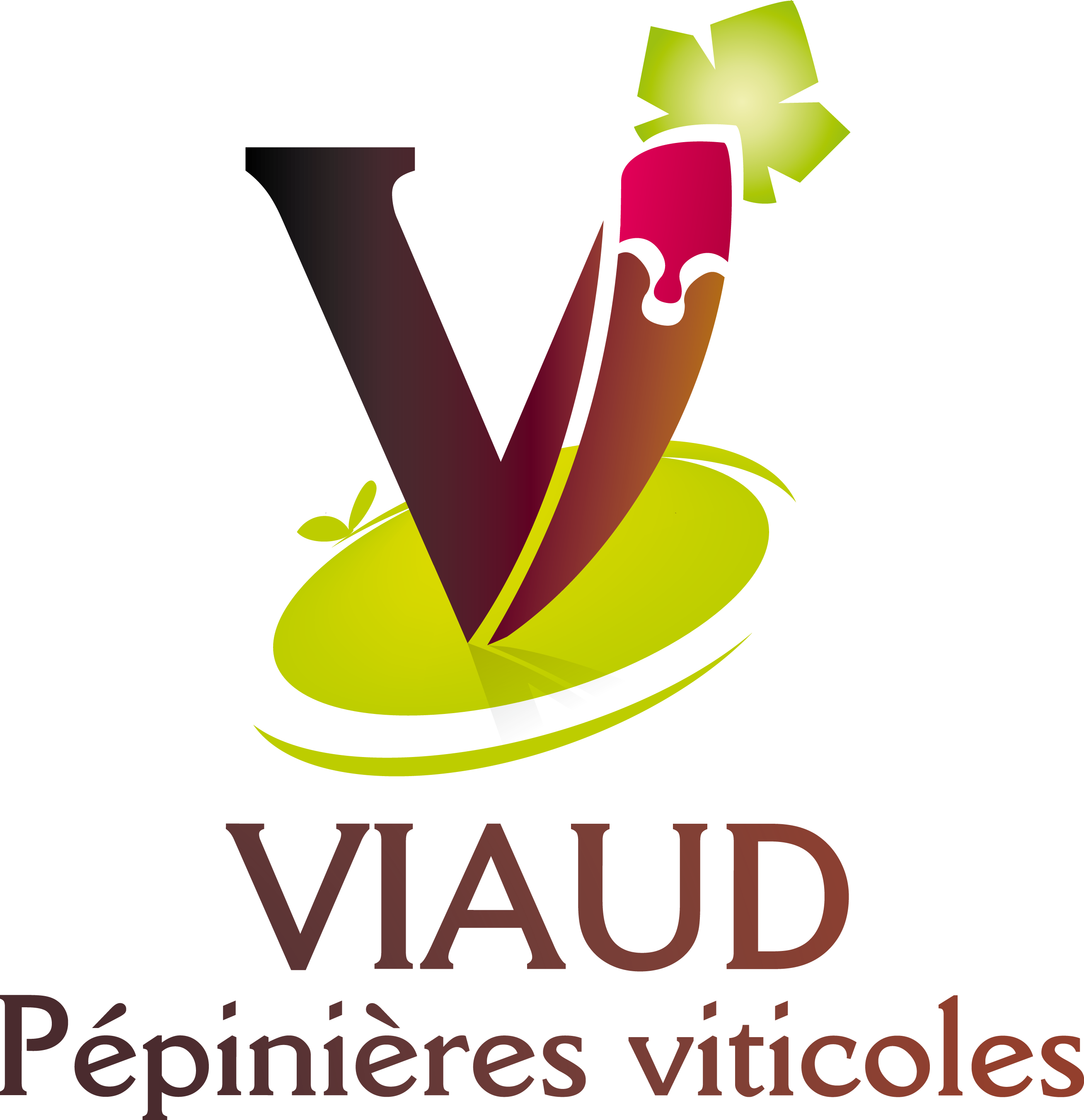 logo societe 
