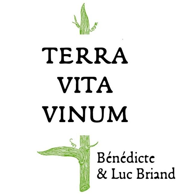 logo societe 