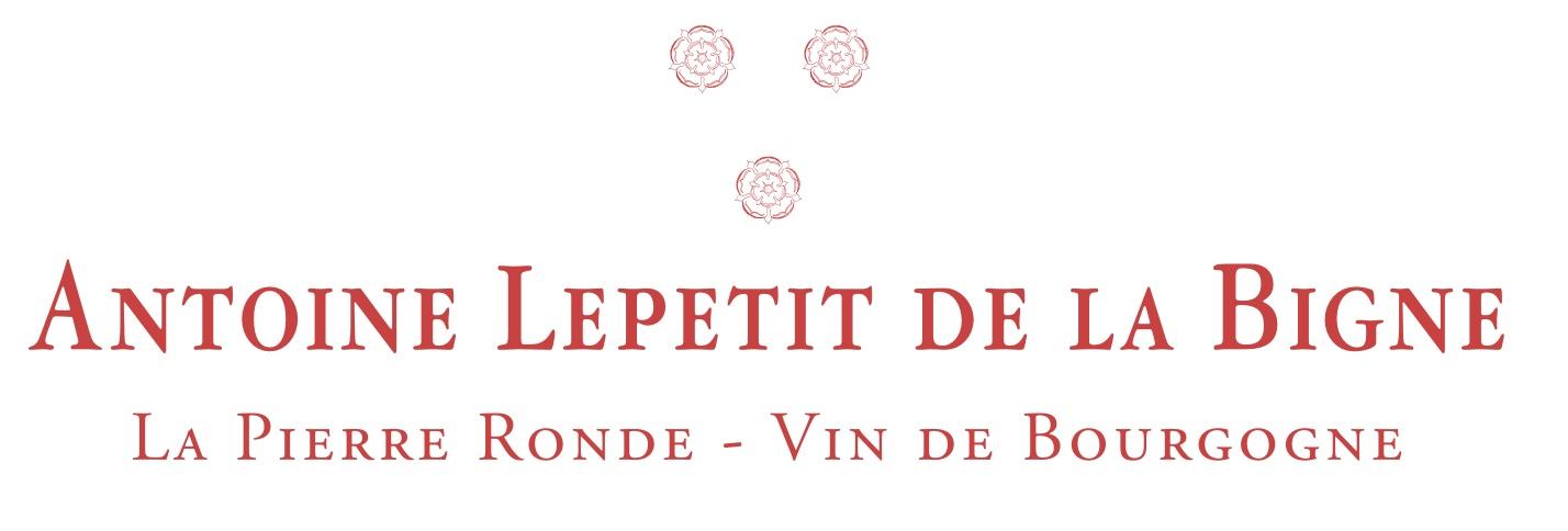 logo societe 