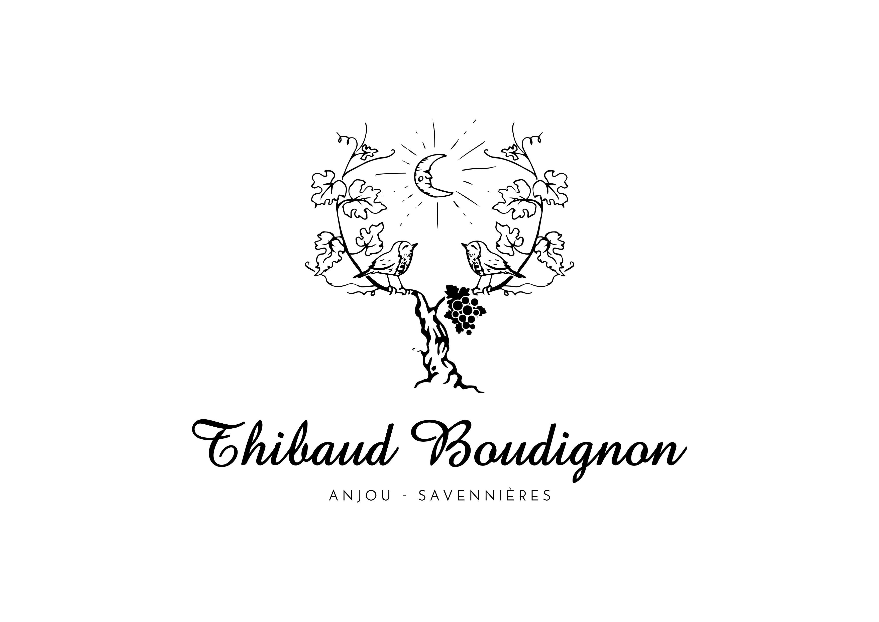 logo societe 