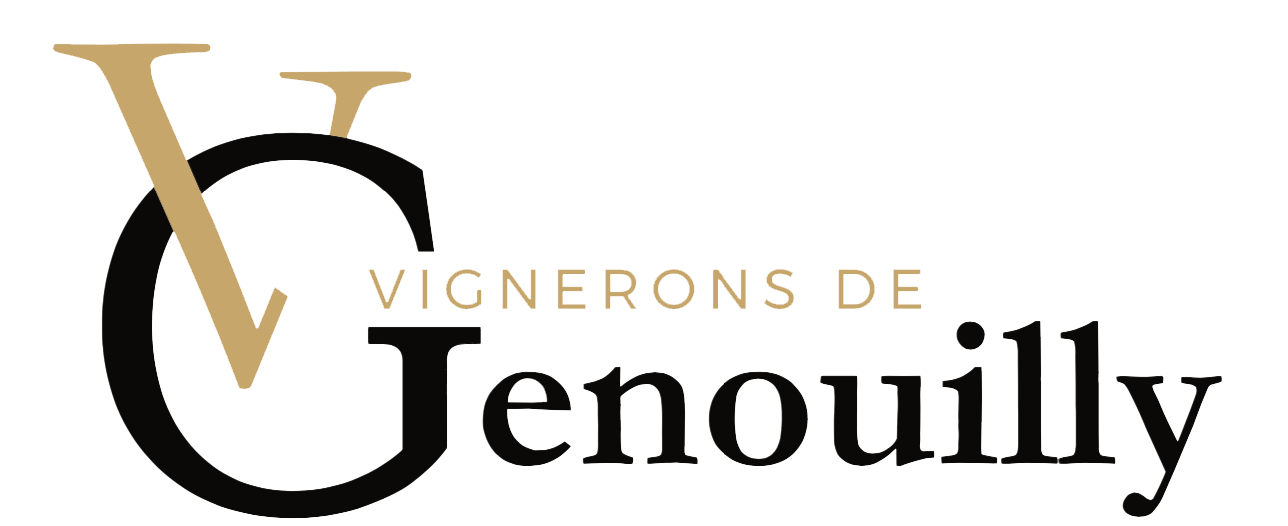 logo societe 