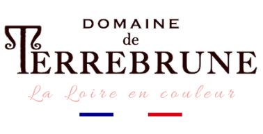 logo societe 