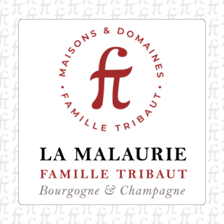 logo societe 