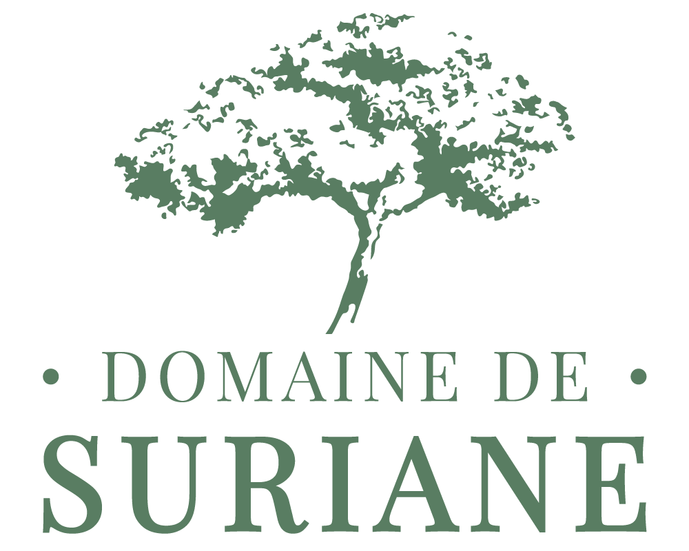 logo societe 