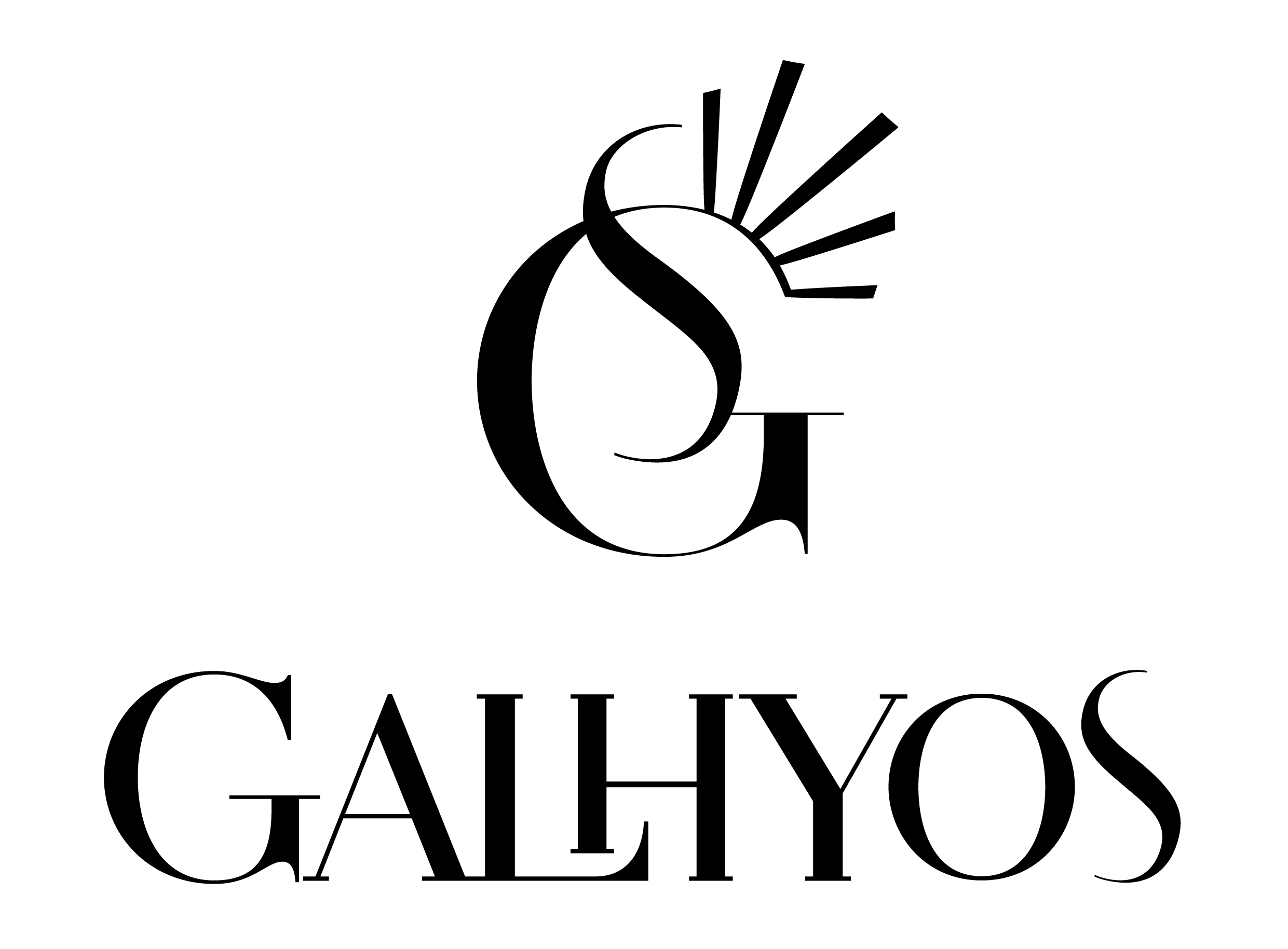 logo societe 