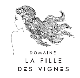 logo société 