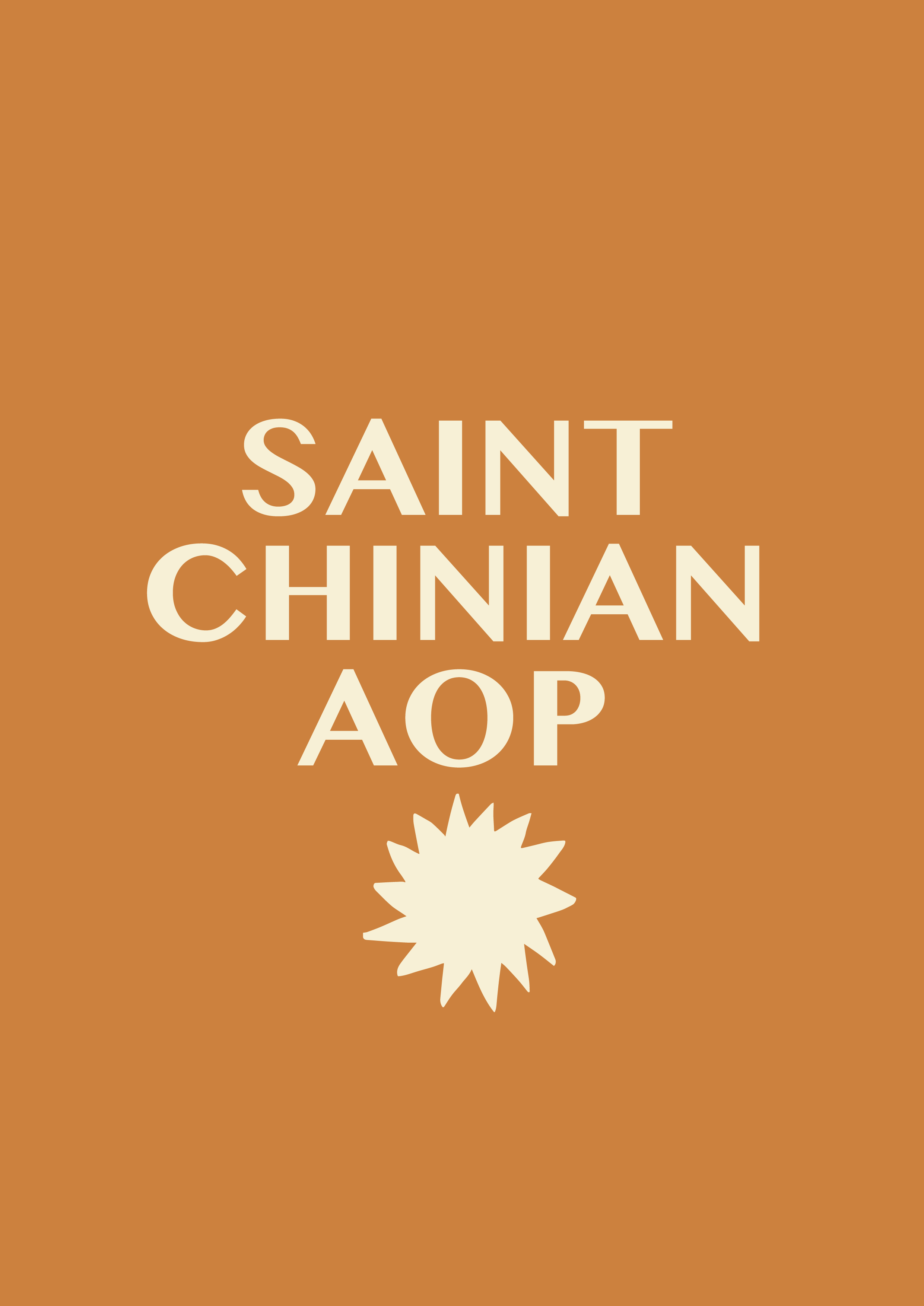 logo societe 