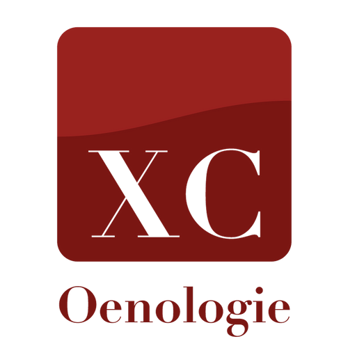 logo societe 