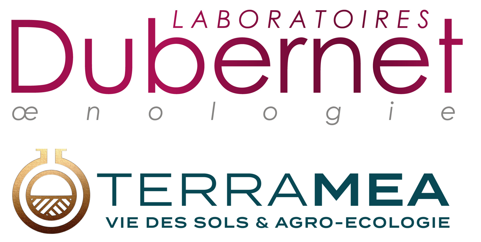 logo societe 