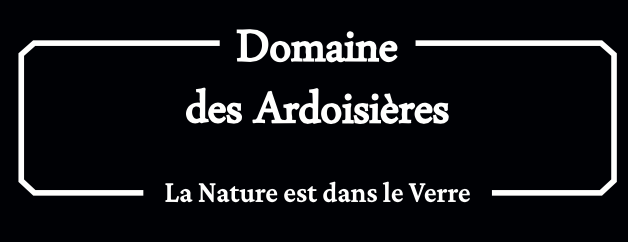logo société 