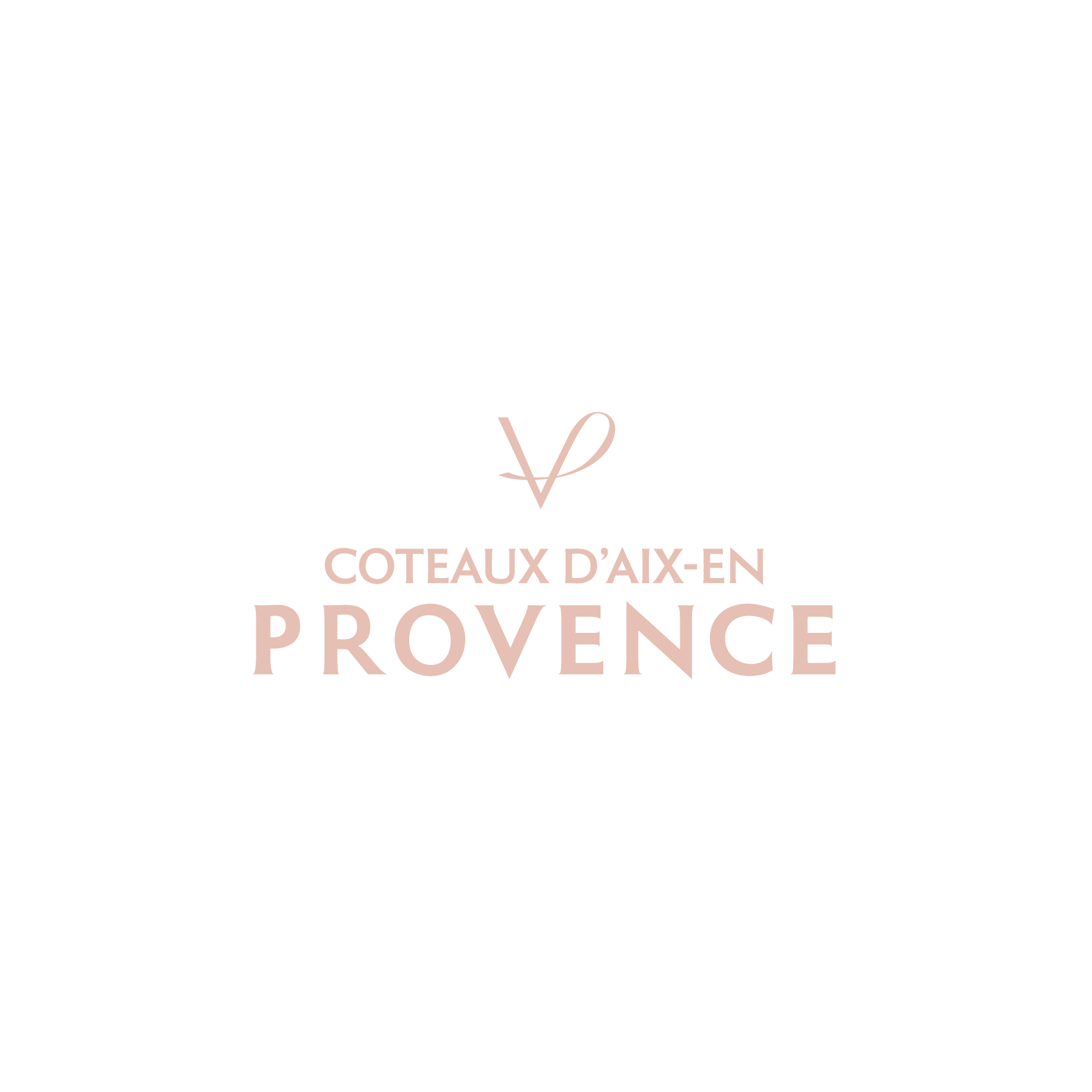 logo societe 