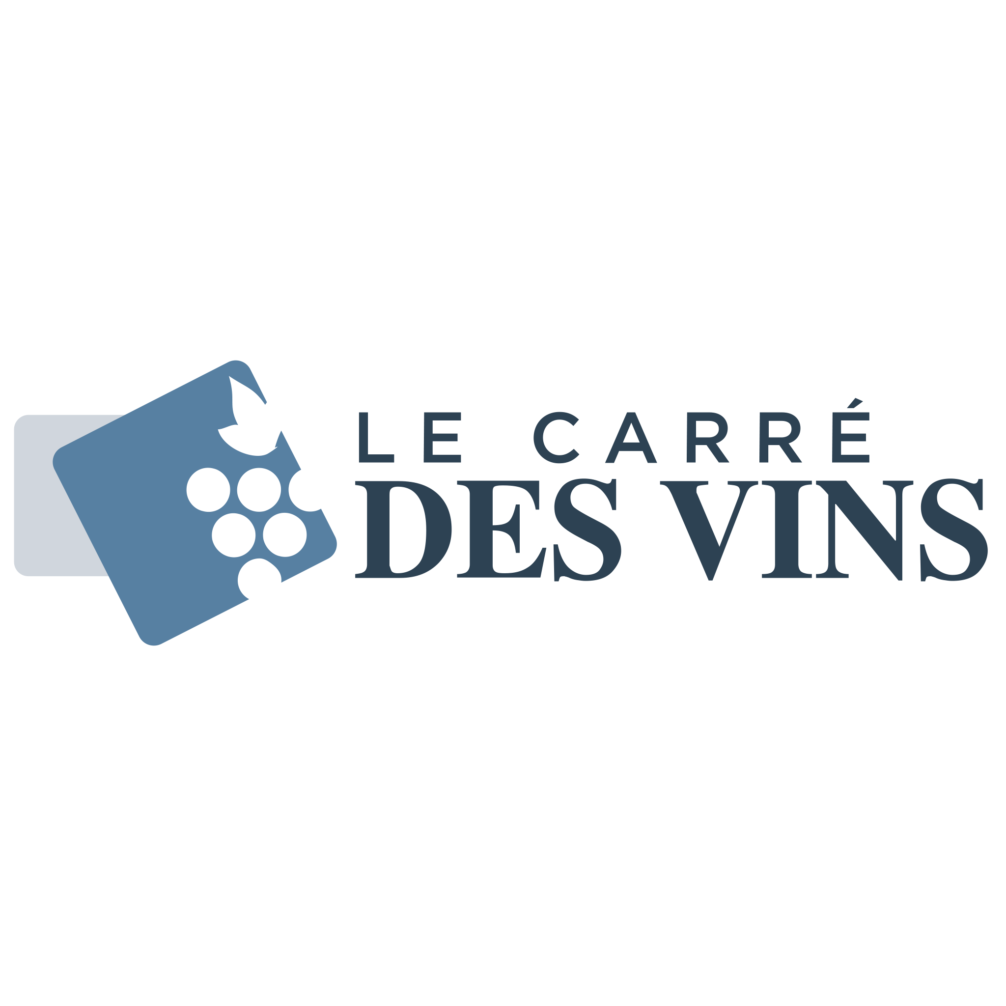 logo societe 