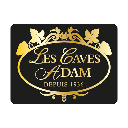 logo societe 