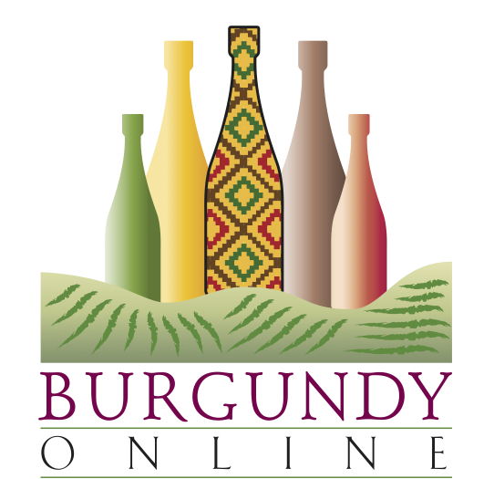 logo societe 