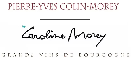 logo societe 
