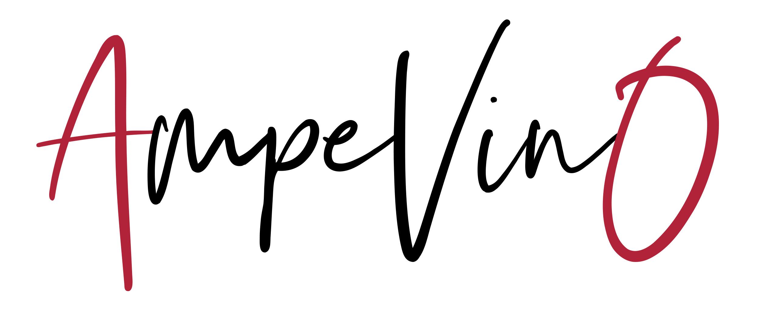 logo societe 
