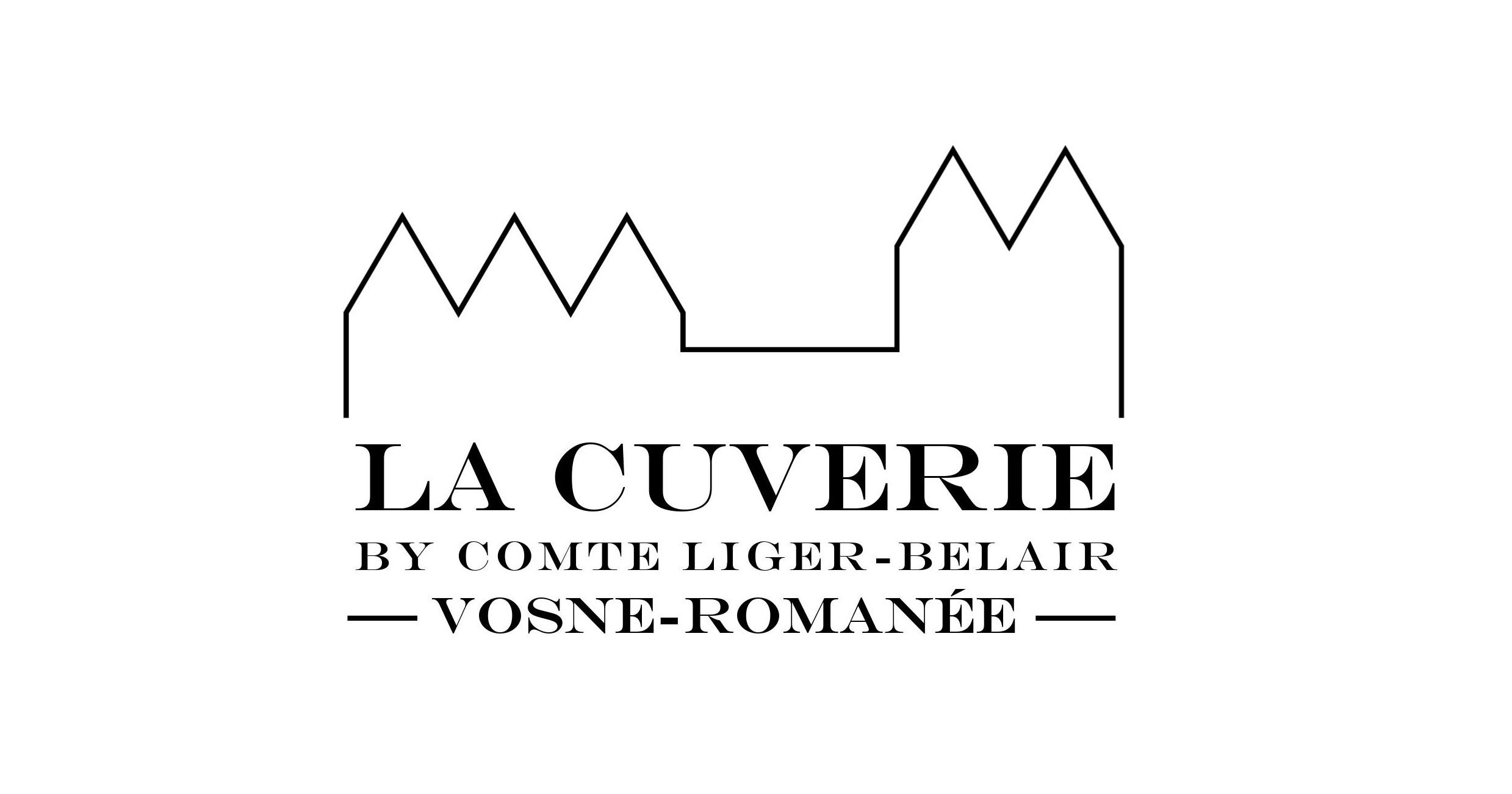 logo societe 