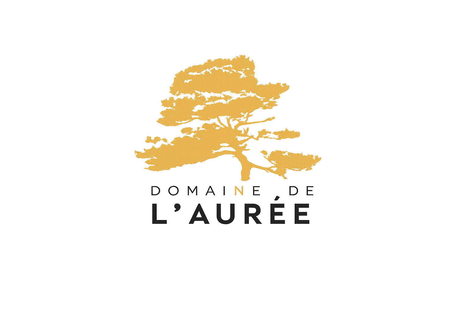 logo societe 