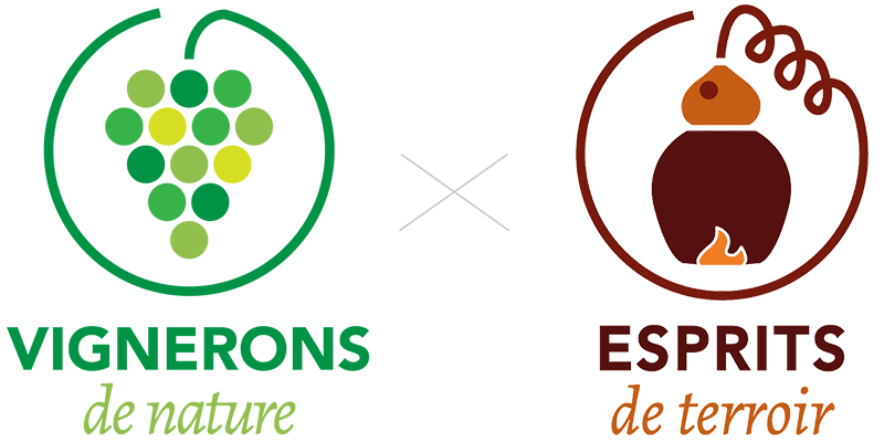 logo societe 