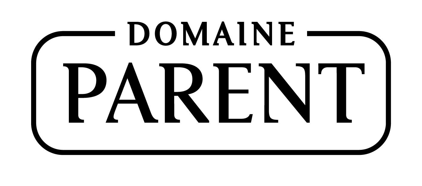 logo société 