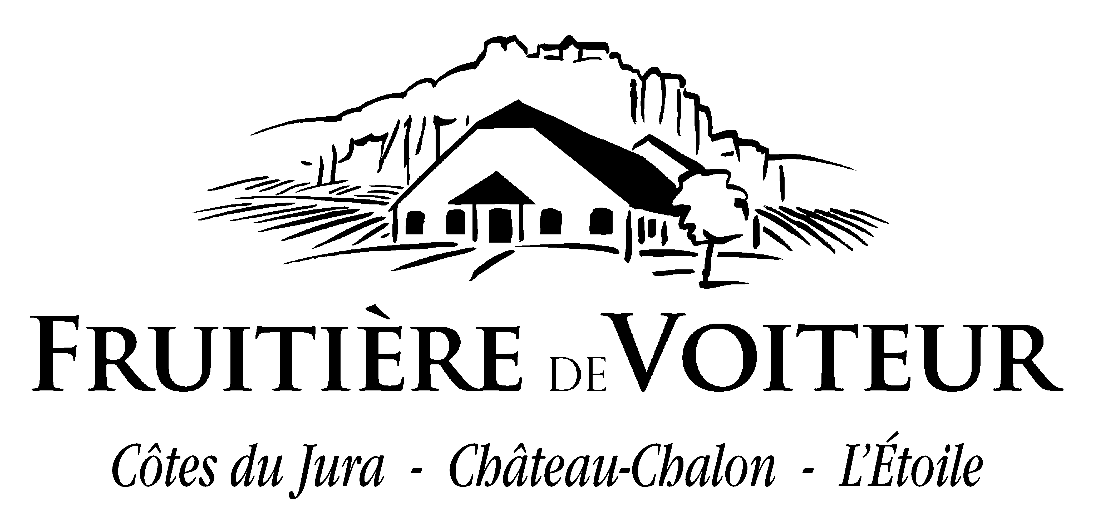 logo societe 