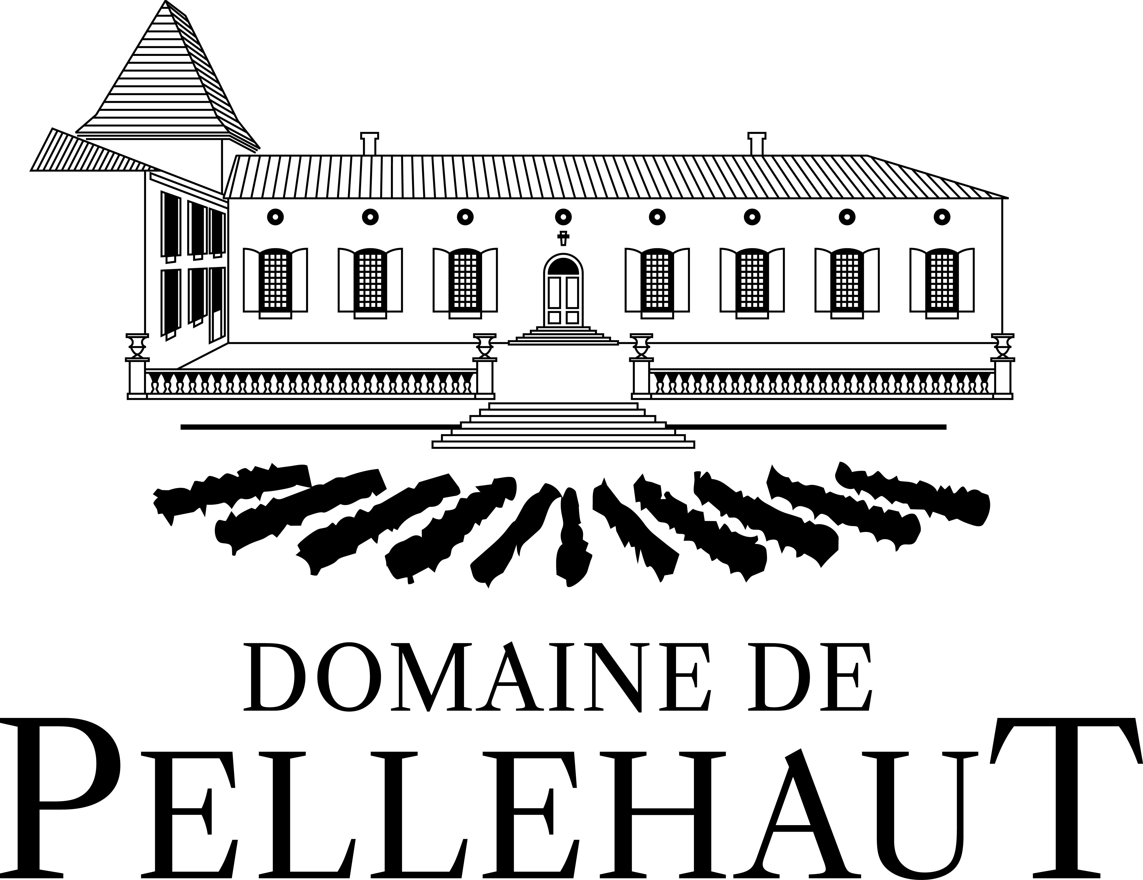 logo société 