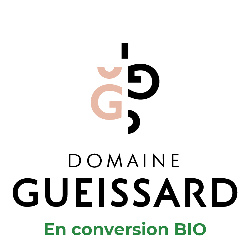 logo societe 