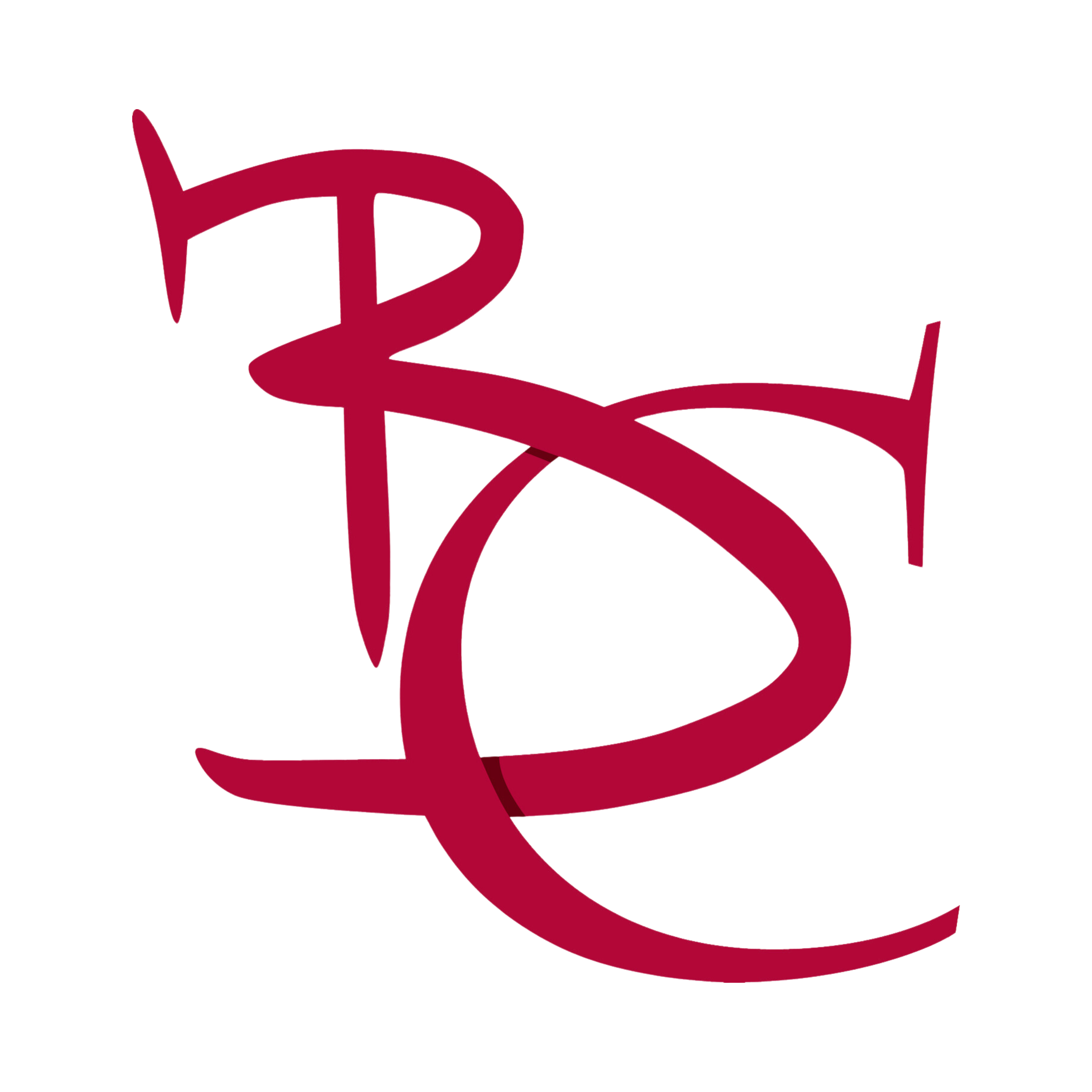 logo societe 