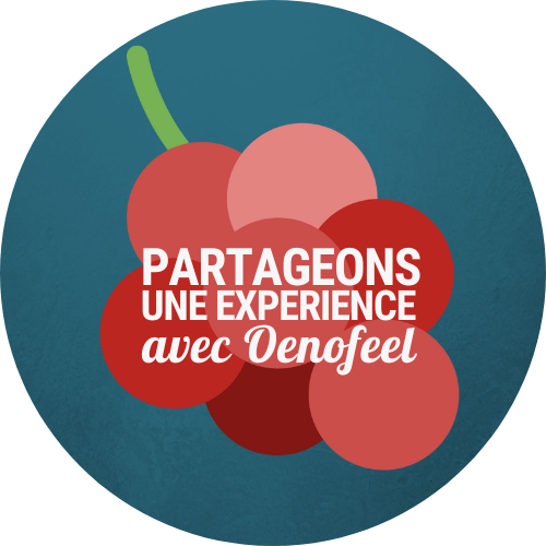 logo societe 